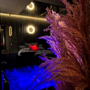 a room with purple and blue lights and a couch at BlackRoom Suite de Luxe 50 Nuances de grey in Le Havre