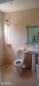 a bathroom with a toilet and a sink at Los Palmares Guest House & Eventos in San Cristóbal