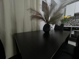 una mesa de comedor negra con una planta en Apartament Bragadiru complex rezidențial en Bragadiru