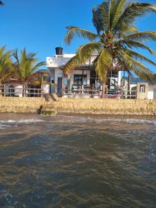 une maison sur la plage avec un palmier dans l'établissement Luna del Mar, à San Silvestre
