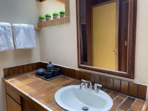 um balcão de casa de banho com um lavatório e um espelho em The Fireside Inn em Idyllwild