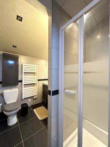 La salle de bains est pourvue de toilettes et d'une douche à l'italienne. dans l'établissement Charmante maison indépendante, à Épernay