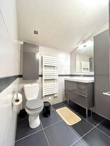 エペルネーにあるLe Domaineのトイレと洗面台付きのバスルーム