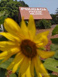 a yellow flower with a building in the background at Hotel Pousada e Parada Colonial in Capitão Leônidas Marques