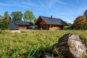 a log cabin in a field next to a tree stump at SRUB KVETONOV in Kaplice