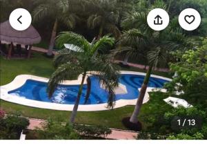 an image of a swimming pool with two palm trees at Private Room Puerto Morelos in Puerto Morelos