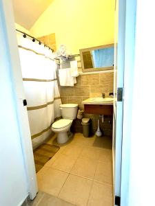 łazienka z toaletą i umywalką w obiekcie Paradise Suite Cadaqués w mieście Bayahibe