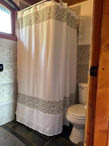 a bathroom with a toilet and a shower curtain at Zapato Amarillo Bed & Breakfast in Puerto Octay