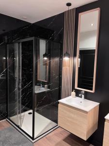 a bathroom with a shower and a sink and a mirror at Appartement 2 chambres - Saint Pierre in Troyes +12 photos