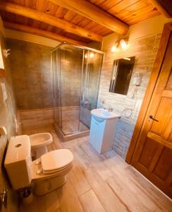 y baño con ducha, aseo y lavamanos. en Cabaña Del Árbol en San Martín de los Andes