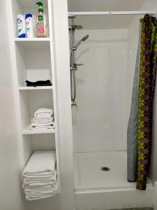 a walk in shower in a bathroom with towels at Aarangi Tui Motel in Paihia