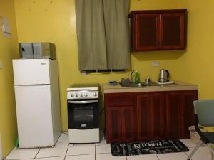 a kitchen with a refrigerator and a stove and a sink at Cozy Single Getaway in Roseau