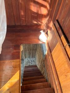 Fotografie z fotogalerie ubytování Popochos Beach Eco Lodge v destinaci Nuquí
