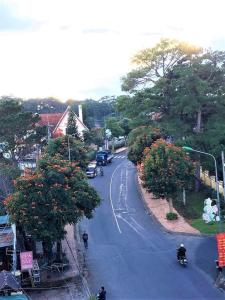 an overhead view of a street with trees and cars at Flower Hill in Da Lat