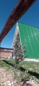 een groen dak van een gebouw met een boom bij Runa Apartamentos in Cuzco