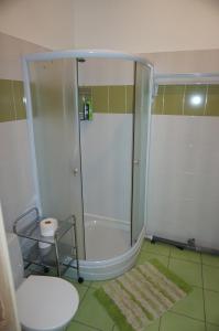 a bathroom with a shower and a toilet at Holiday Apartment in Alūksne