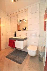 ein Badezimmer mit Toilette, Waschbecken und Spiegel in der Unterkunft Birkenhof App 74 in Wustrow + 12 Fotos