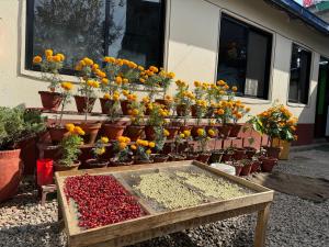 Galeriebild der Unterkunft New Araniko Resort (P) Ltd in Chautara