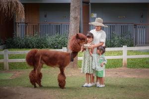 un homme et deux enfants nourrissant un poney miniature dans l'établissement dusitD2 Khao Yai, à Mu Si