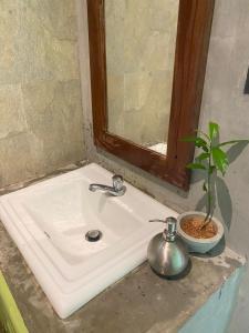 ein Waschbecken mit Topfpflanze und Spiegel in der Unterkunft Maina Home's Gₐₗₗₑ in Bope