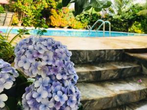 Giardino di ITALIAN GUEST