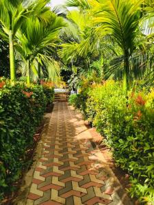 Giardino di ITALIAN GUEST