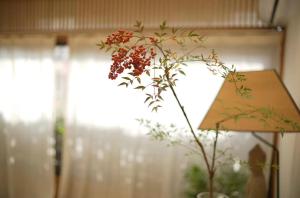 a flower in a vase in front of a window at Hantang Inn Hostel Xi'an in Xi'an