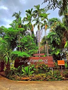 un signo de experiencia en la selva frente a las palmeras en Phuket Jungle Experience Resort en Karon