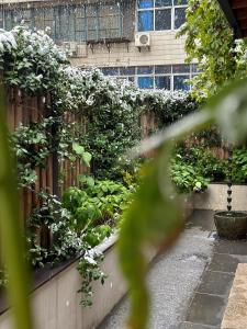 Κήπος έξω από το Hantang Inn Hostel Xi'an