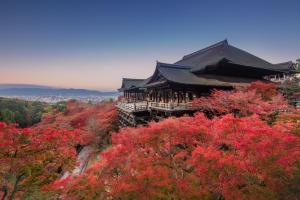 a building on top of a hill with red trees at Park Hyatt Kyoto in Kyoto