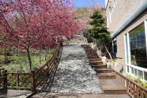 新樂園景觀山莊室外花園