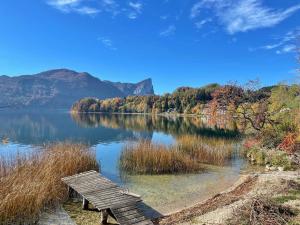 Gallery image of Billys Apartment Zentrum, Renoviert, Garage, Netflix in Mondsee
