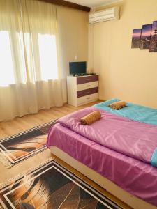 斯莫梁的住宿－Апартамент за гости Байрактарова，一间卧室配有两张床和电视。