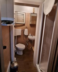 La petite salle de bains est pourvue de toilettes et d'un lavabo. dans l'établissement B&B Rampante, à Piana degli Albanesi