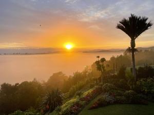 a sunrise over a misty lake with a palm tree at Baywaterviews in Paihia