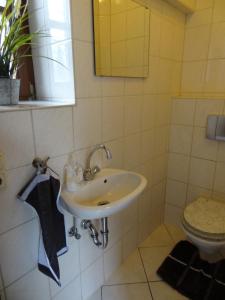 a bathroom with a sink and a toilet at Ferienhaus van Vliet in Morbach