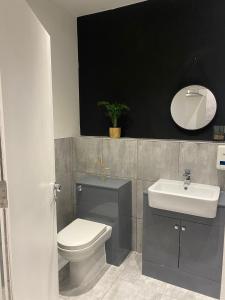 a bathroom with a sink and a toilet and a mirror at Holiday Plus - Palatine Road in Blackpool