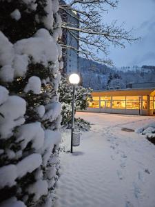 uma luz de rua coberta de neve ao lado de um edifício em Familien Apartmenthotel Panoramic em Bad Lauterberg