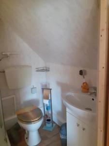 a bathroom with a toilet and a sink at NEU! FeWo unter Reet am Wald auf Rügen in Lohme