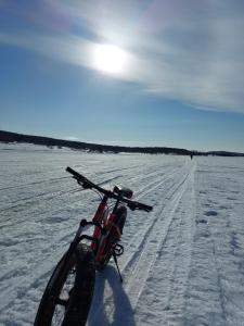 Galería fotográfica de Bed & Breakfast Willa Armas en Övertorneå 37 fotos más