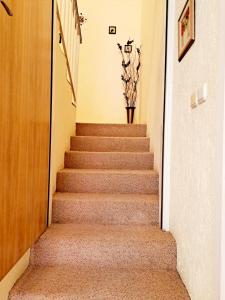 Fotografie z fotogalerie ubytování Villa Scala 2 - Mlini v destinaci Mlini