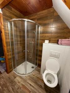 Et badeværelse på Ubytování Doubice
