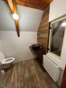 a bathroom with a toilet and a sink at Ubytování Doubice in Doubice