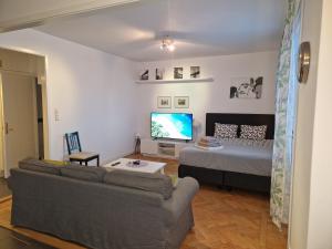sala de estar con sofá y TV en Mysigt lägenhet en Estocolmo