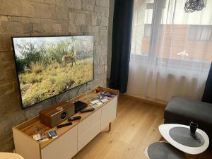 a living room with a flat screen tv on a stone wall at Apartmány Vodohospodár in Mýto pod Ďumbierom