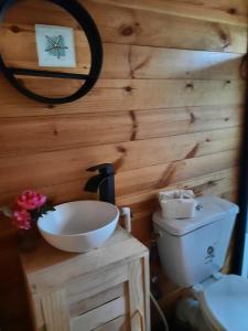 a bathroom with a wooden wall with a sink and a toilet at Chalets Chomoni 