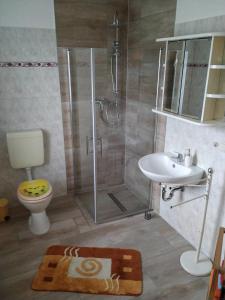 La salle de bains est pourvue d'une douche, de toilettes et d'un lavabo. dans l'établissement Ferienwohnung Kijas, à Wismar