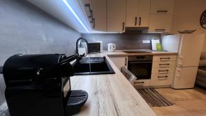 Kuchyňa alebo kuchynka v ubytovaní HausLipno Bungalov na Lipně