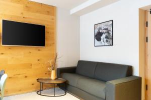 salon z kanapą i telewizorem na ścianie w obiekcie Heimat 1495m Appartement TYP 4 w mieście Schröcken