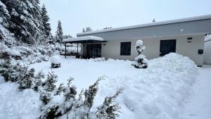 HausLipno Bungalov na Lipně v zime